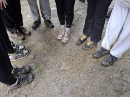 56521819712824033636876097635323150402439944n